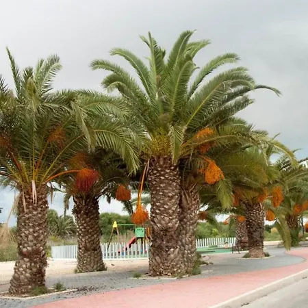Apartment Cosy And Charming 1-Bed Apartment In Torrevieja *